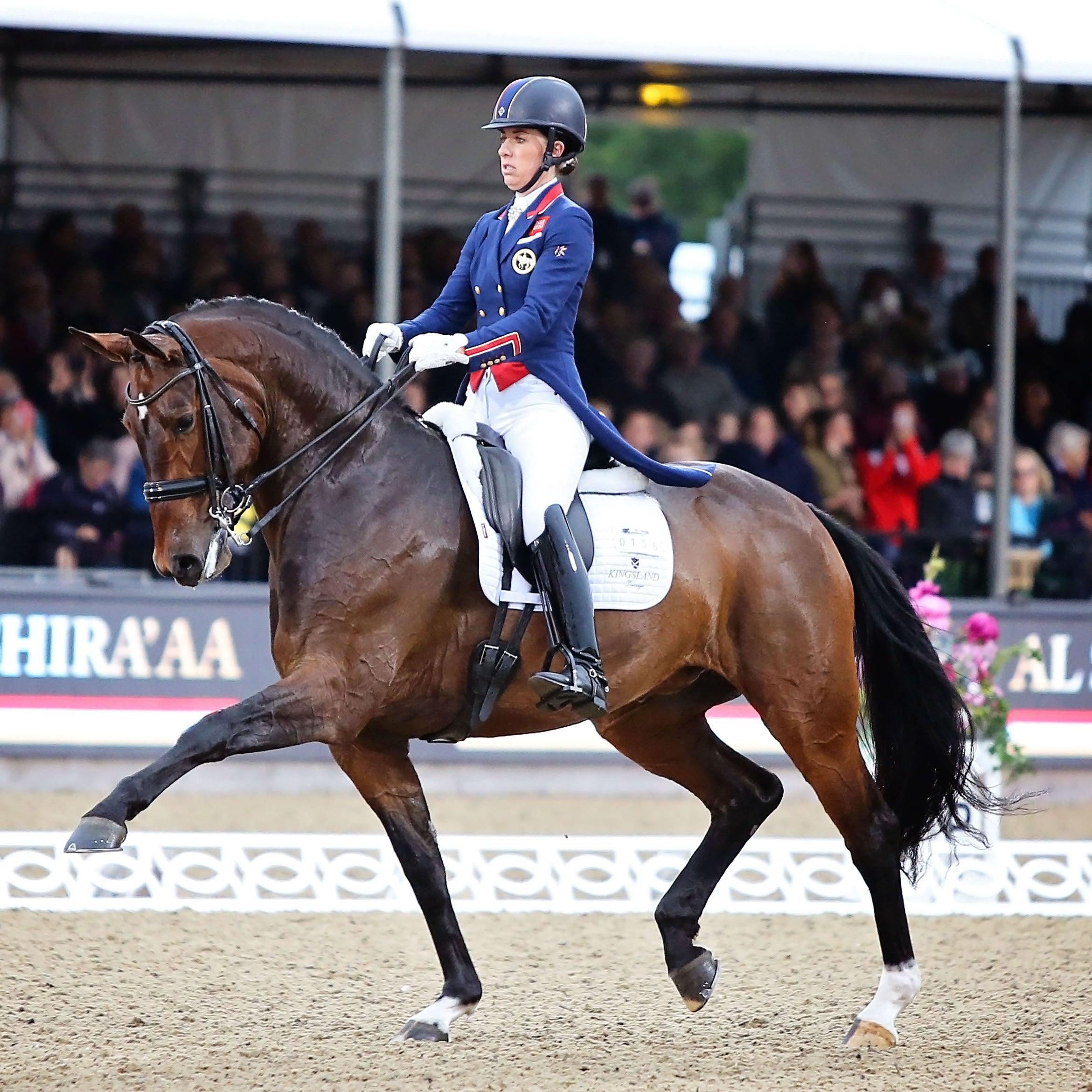 Dressage Collection - Flying Changes