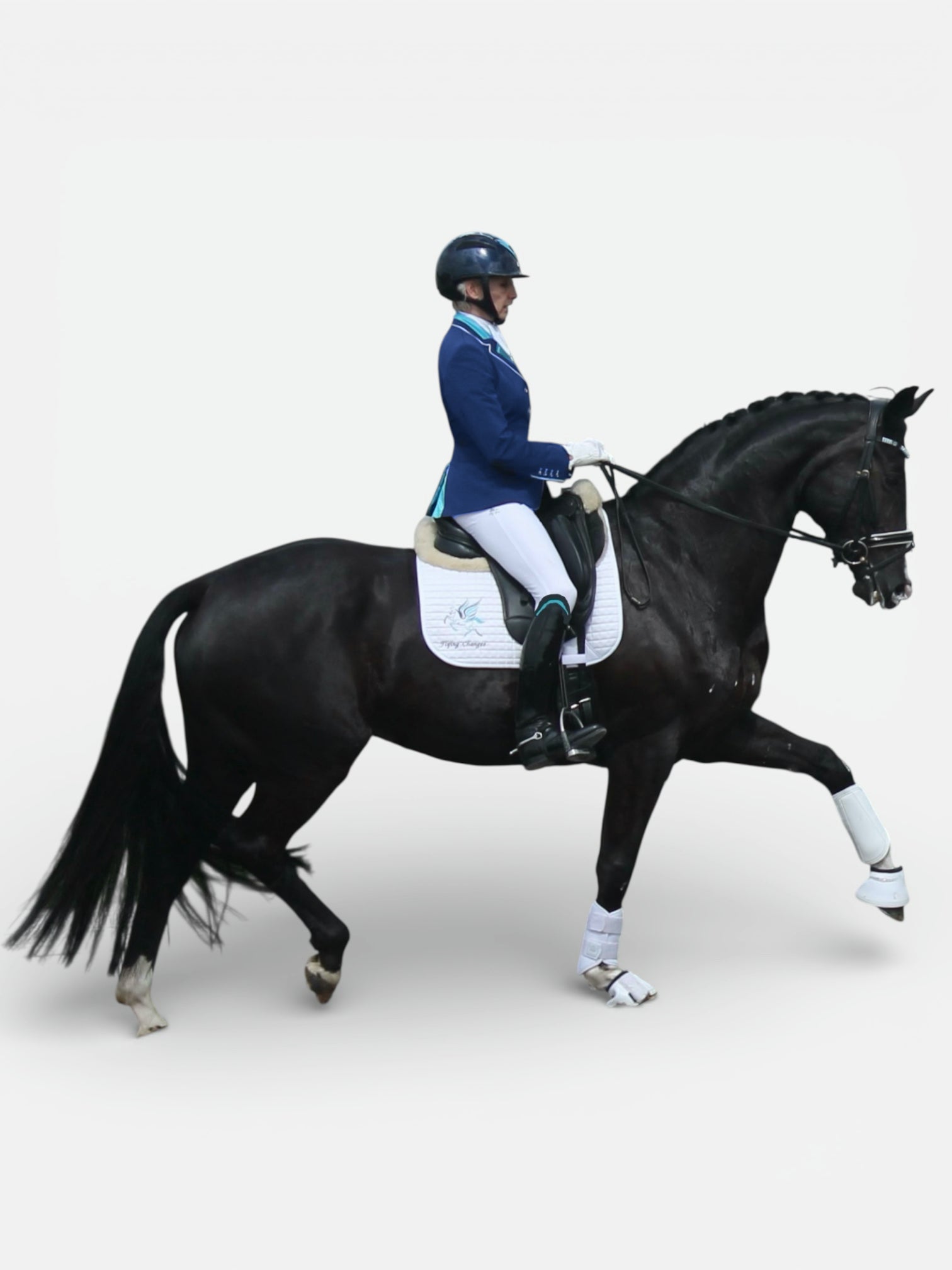 Dressage Collection - Flying Changes