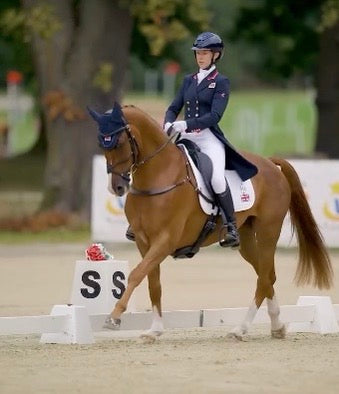 0F1EA32F-A6BD-4EFB-8A87-DFCC9B9379D7_4_5005_c.jpeg__PID:3afcf511-7764-450b-bee9-06fd785a0b7e