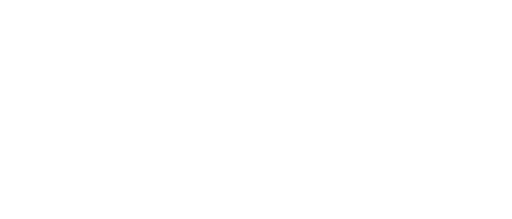 Flying Changes