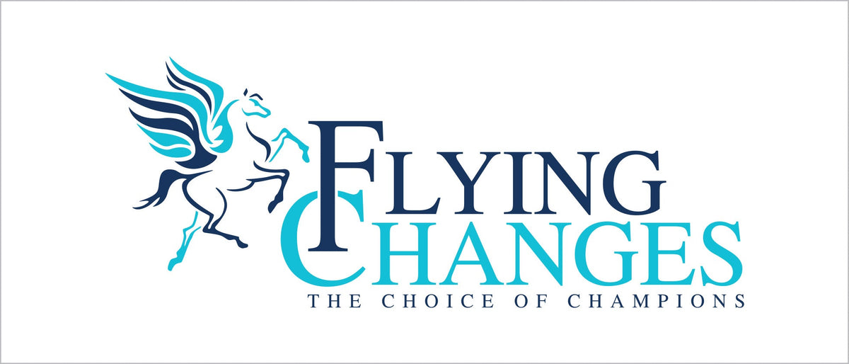 Flying Changes